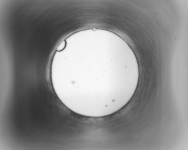 X0000101100912200807241025
