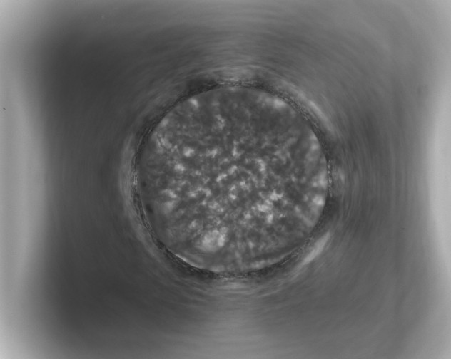X0000101100913200807241025