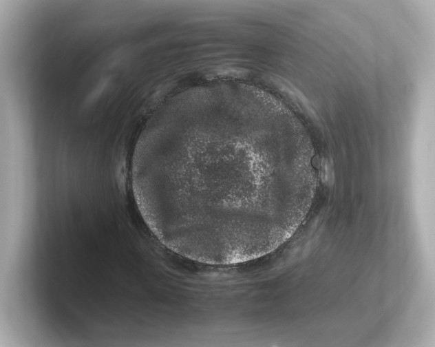 X0000101100915200807241025