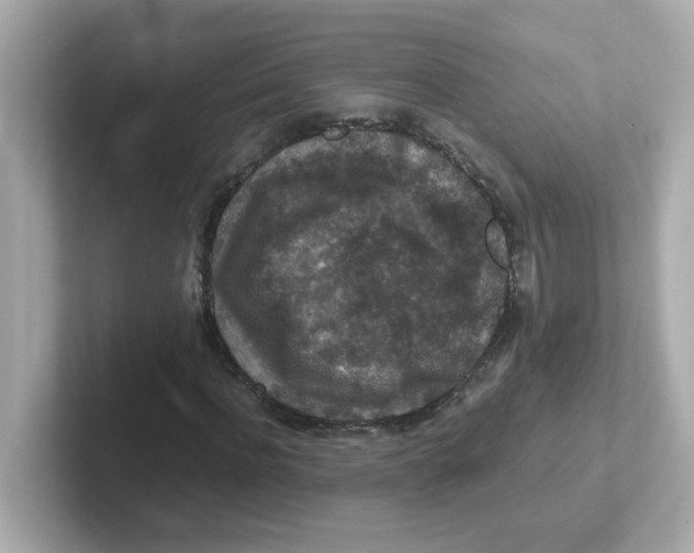 X0000101100916200807241025