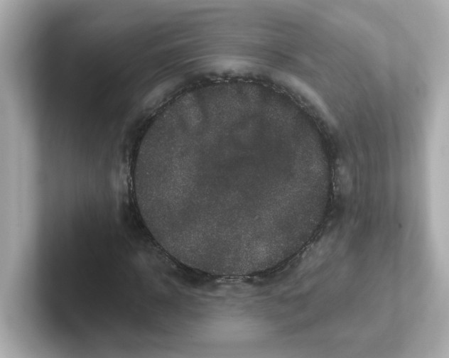 X0000101100918200807241025