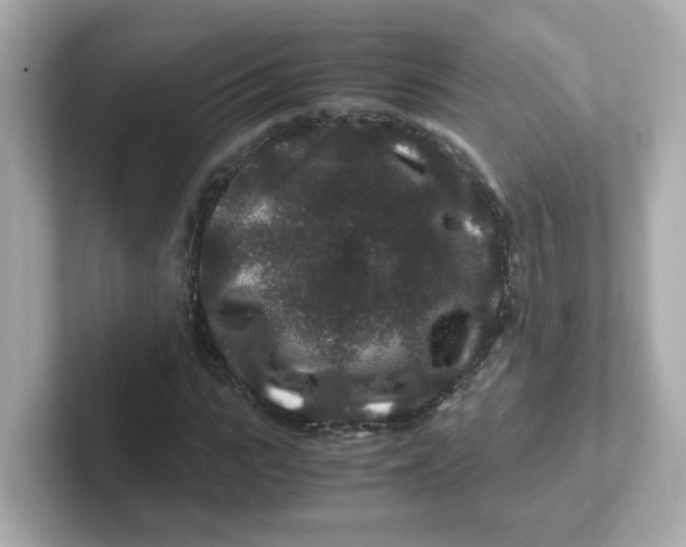 X0000101100919200807241025