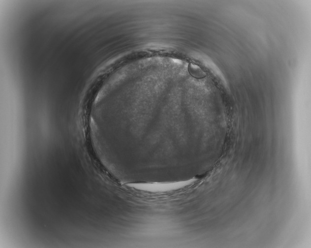 X0000101100920200807241025