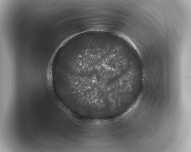 X0000101100923200807241025
