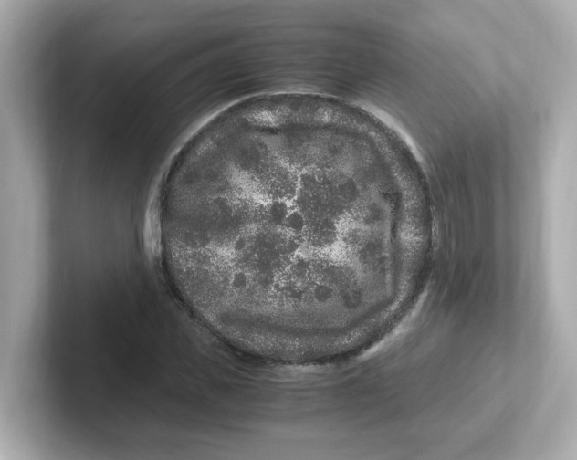 X0000101100925200807241025