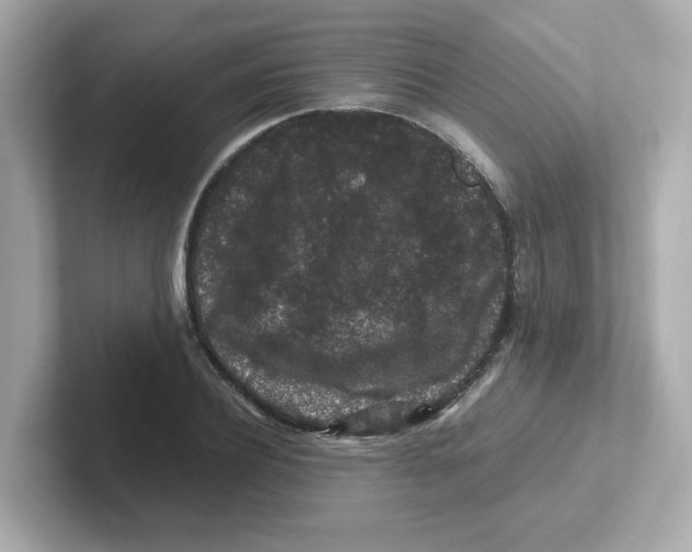 X0000101100932200807241025