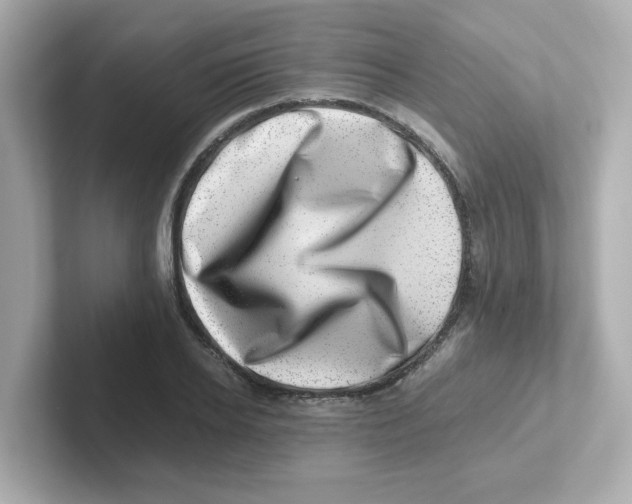 X0000101100934200807241025