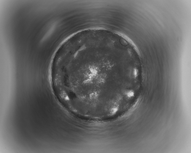 X0000101100935200807241025