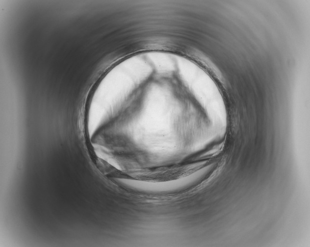 X0000101100938200807241025