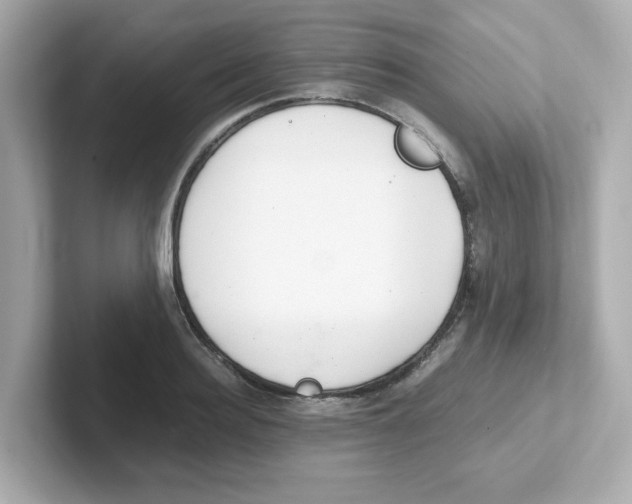 X0000101100940200807241025