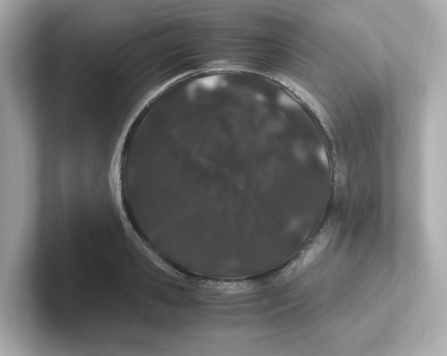 X0000101100941200807241025
