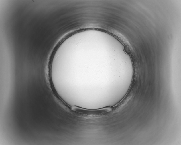 X0000101100942200807241025