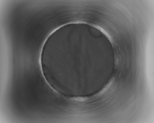 X0000101100943200807241025