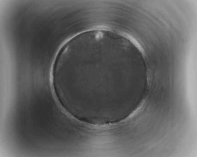X0000101100944200807241025
