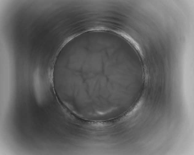 X0000101100945200807241025