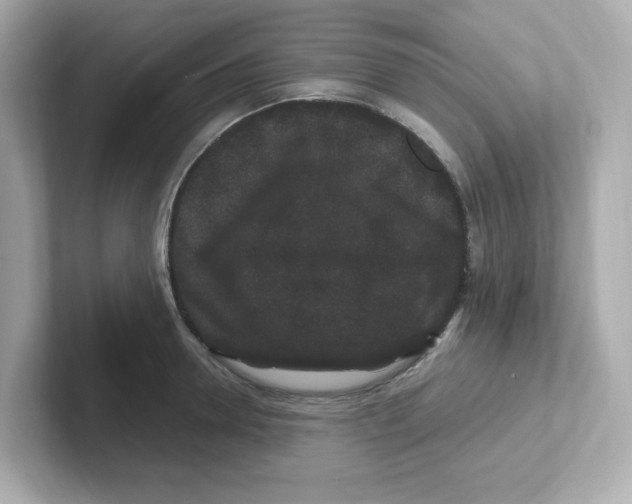 X0000101100946200807241025
