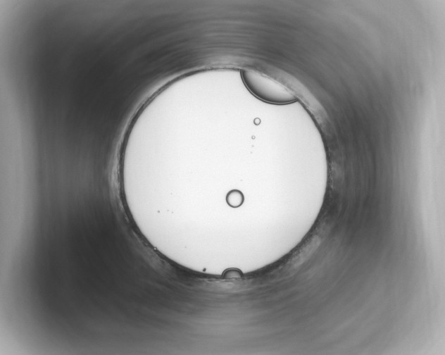 X0000101100948200807241025
