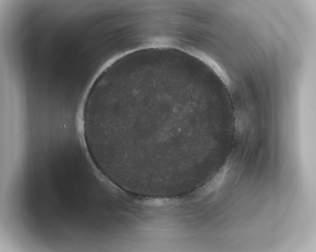 X0000101100950200807241025