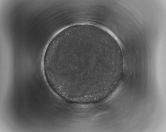 X0000101100951200807241025