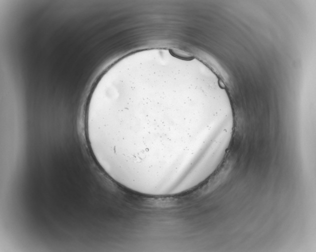 X0000101100952200807241025