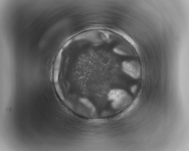 X0000101100953200807241025
