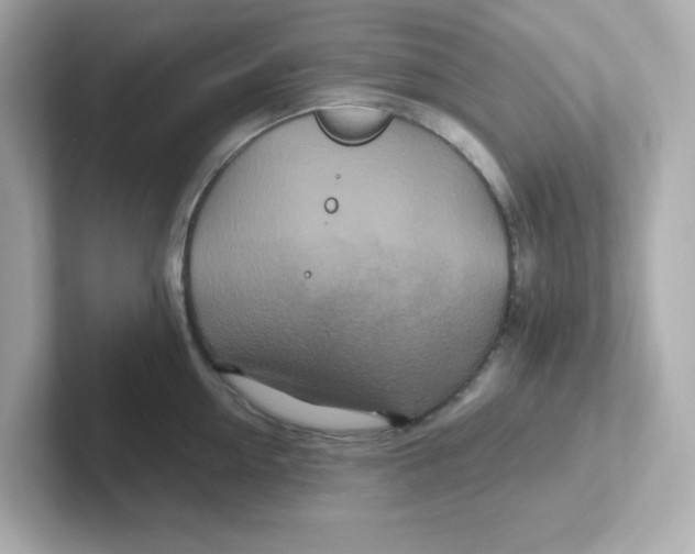 X0000101100954200807241025