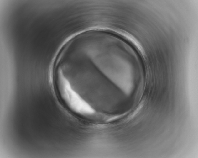X0000101100958200807241025