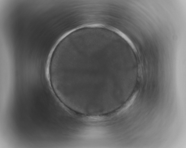 X0000101100959200807241025