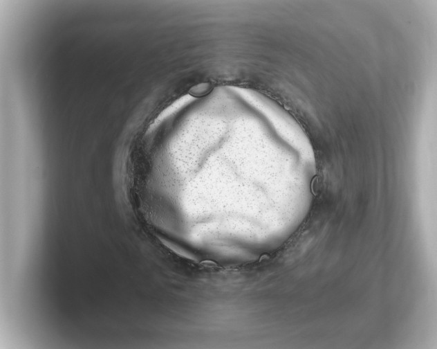 X0000101100961200807241025