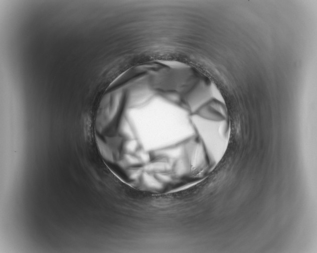 X0000101100964200807241025