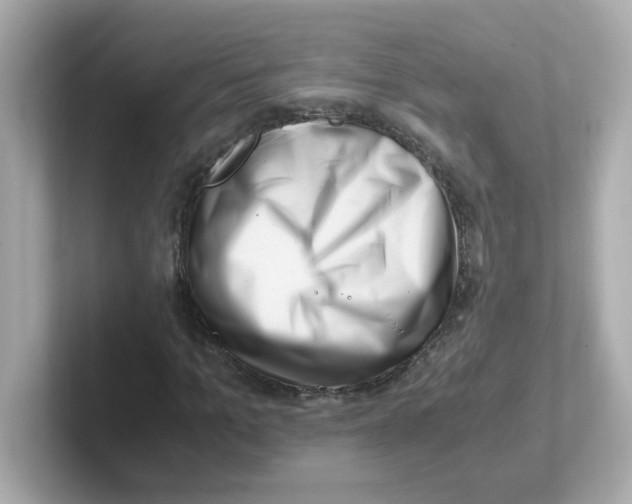 X0000101100965200807241025