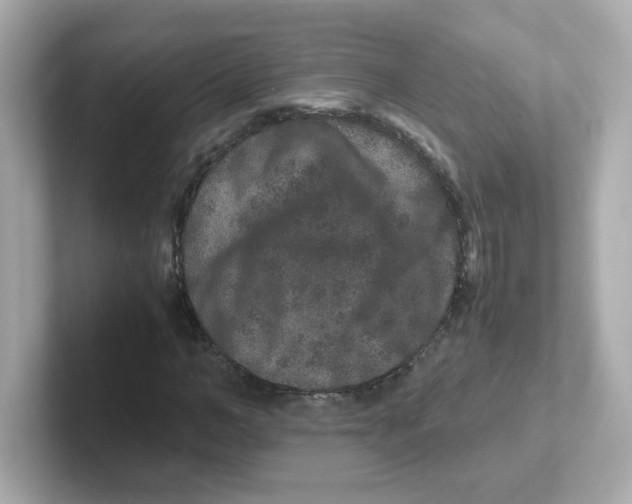 X0000101100966200807241025