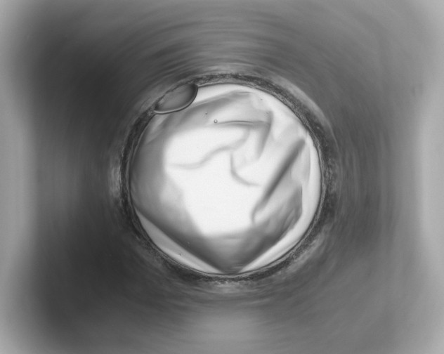X0000101100969200807241024