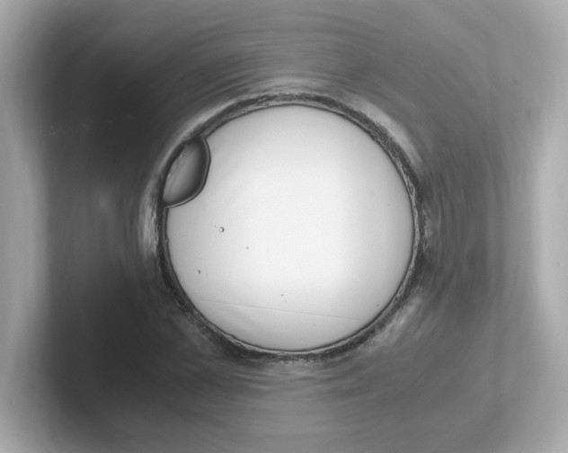 X0000101100973200807241024