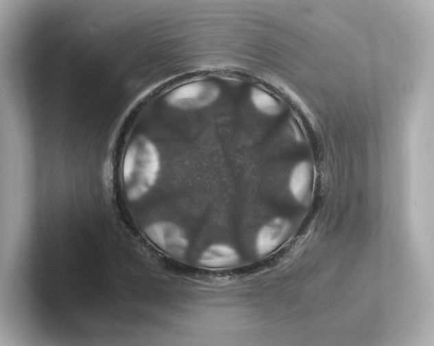 X0000101100975200807241024