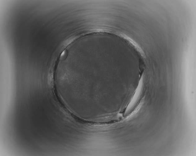 X0000101100977200807241024