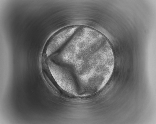X0000101100980200807241024