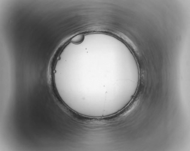 X0000101100981200807241024