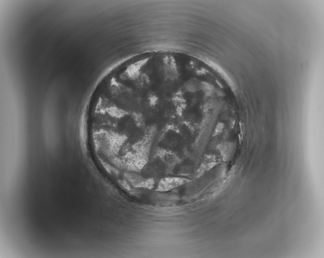 X0000101100983200807241024