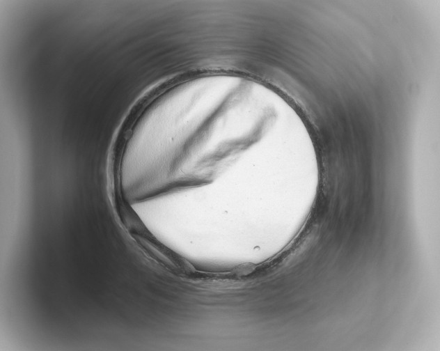 X0000101100984200807241024