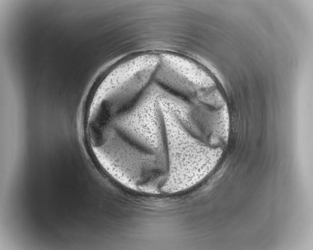 X0000101100987200807241024