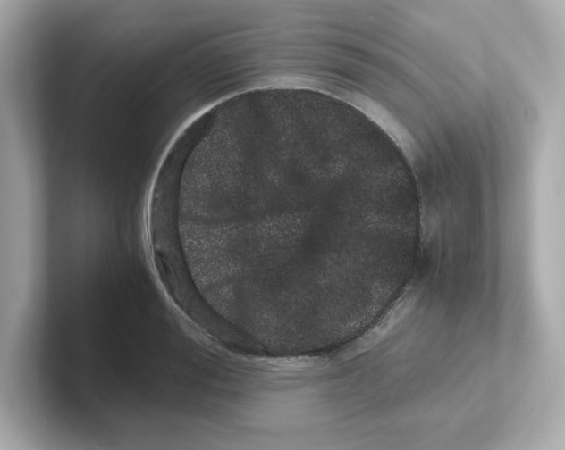 X0000101100988200807241024