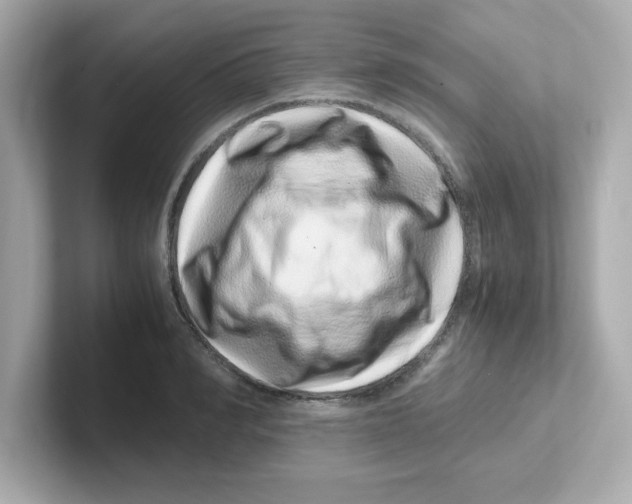X0000101100990200807241024