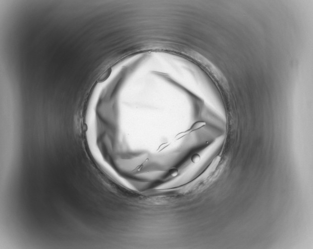 X0000101100993200807241024