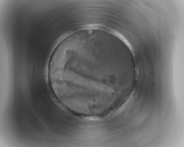 X0000101100994200807241024