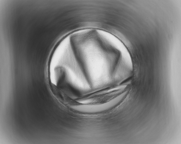 X0000101100996200807241024