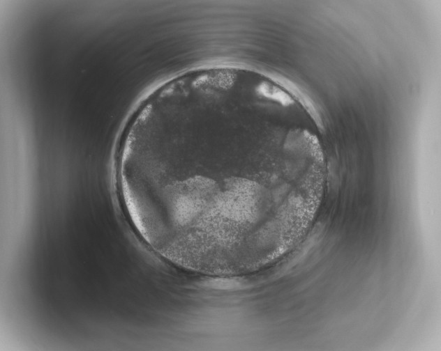 X0000101100998200807241024