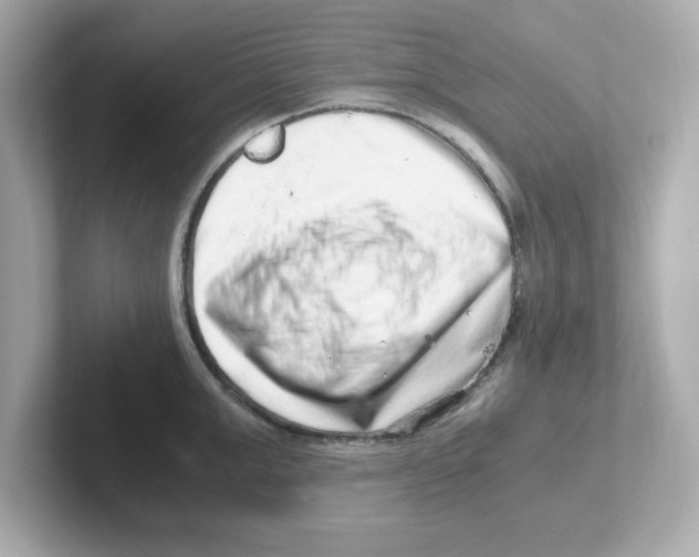 X0000101100999200807241024
