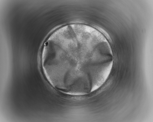 X0000101101000200807241024