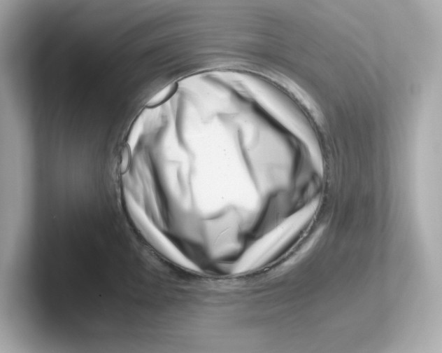 X0000101101001200807241024